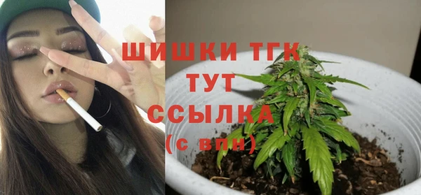 индика Абаза