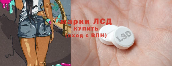 индика Абаза