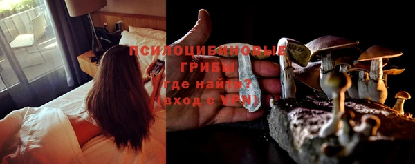 ПСИЛОЦИБИНОВЫЕ ГРИБЫ Краснотурьинск
