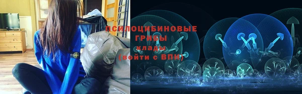 ГАЛЛЮЦИНОГЕННЫЕ ГРИБЫ Абинск