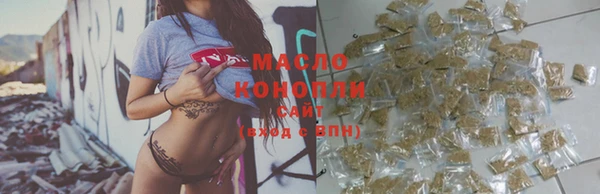 индика Абаза
