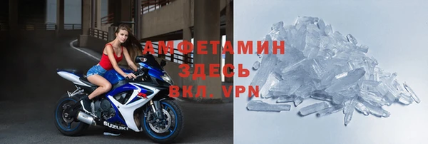 индика Абаза