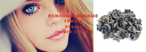 индика Абаза