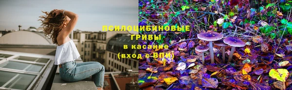 ГАЛЛЮЦИНОГЕННЫЕ ГРИБЫ Абинск