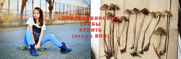 индика Абаза